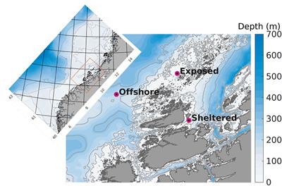 Dispersal and Deposition of <mark class="highlighted">Detritus</mark> From Kelp Cultivation